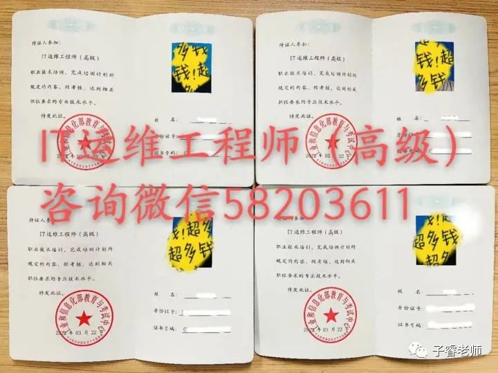 it運維技術(shù)_摩卡it運維管理 報價 軟件_it專業(yè)linux系統(tǒng)網(wǎng)絡(luò)運維講師個人介紹