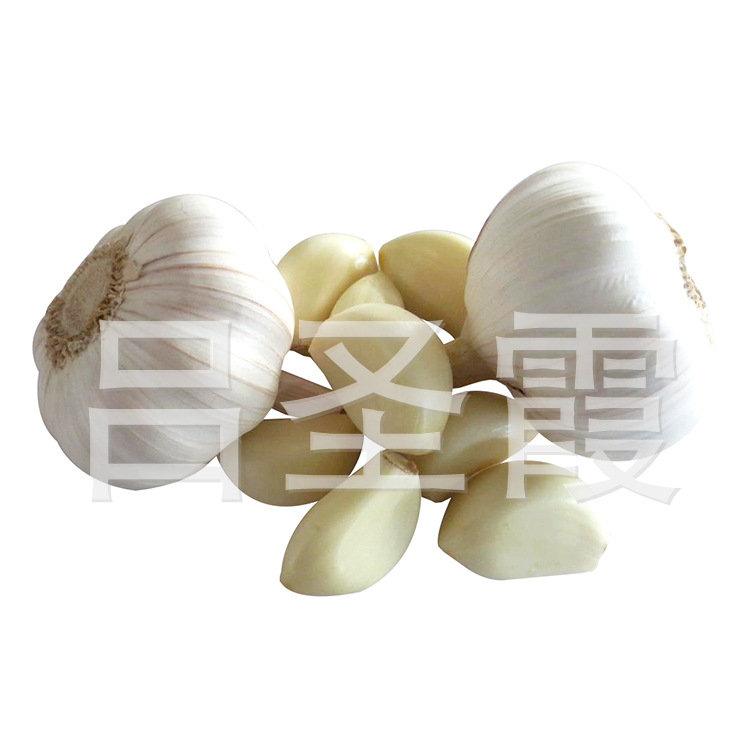 it外包服務公司_it維護外包_it服務外包